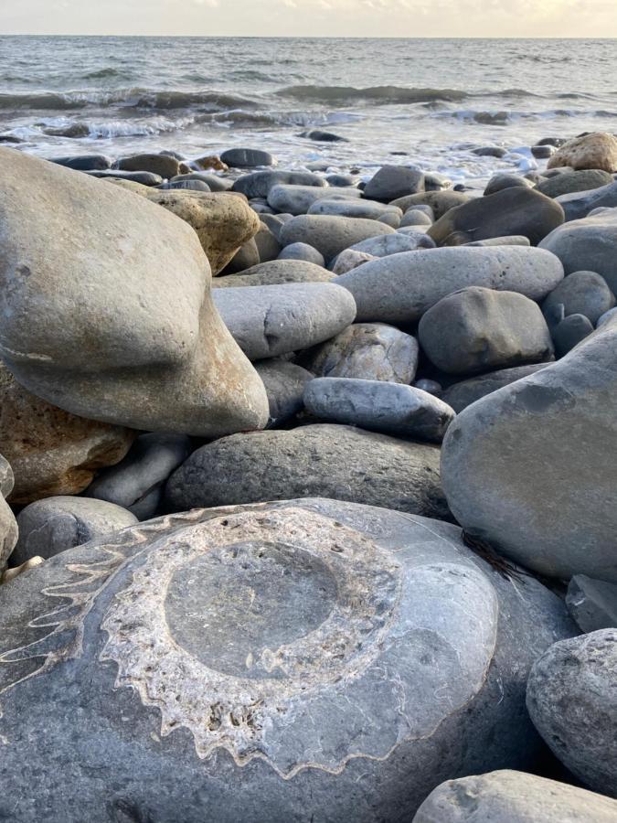Seabreeze Leilighet Lyme Regis Eksteriør bilde